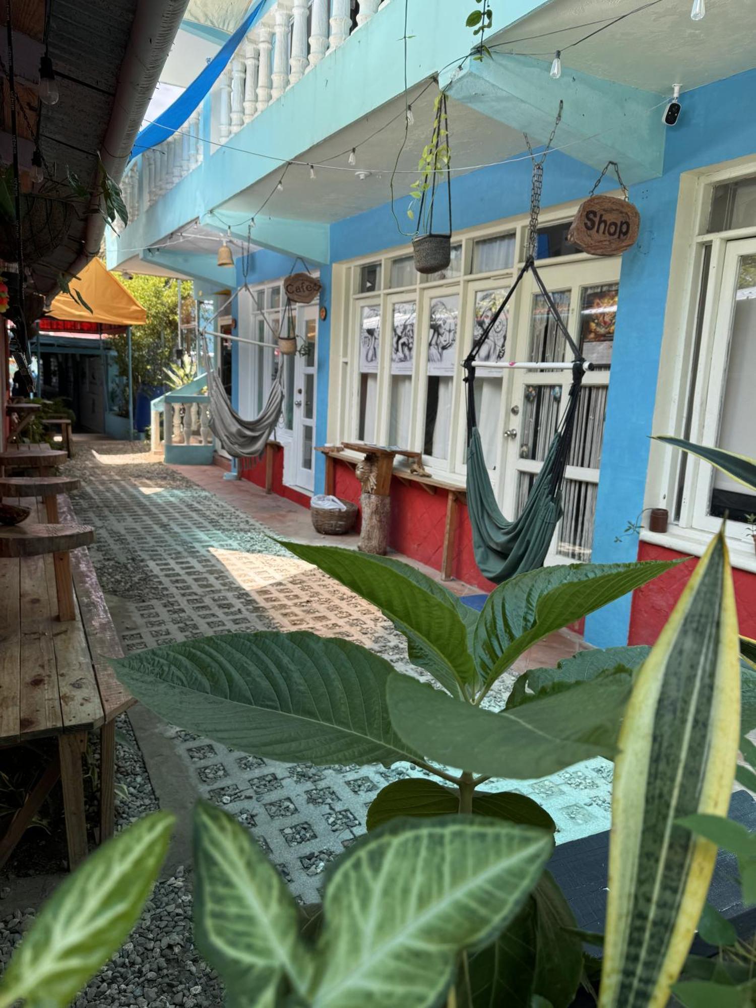 Wing Camp Vandrarhem Cabarete Exteriör bild
